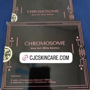 CHROMOSOME Stem Cell