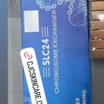 SLC24  CHROMOSOME EXCHANGER